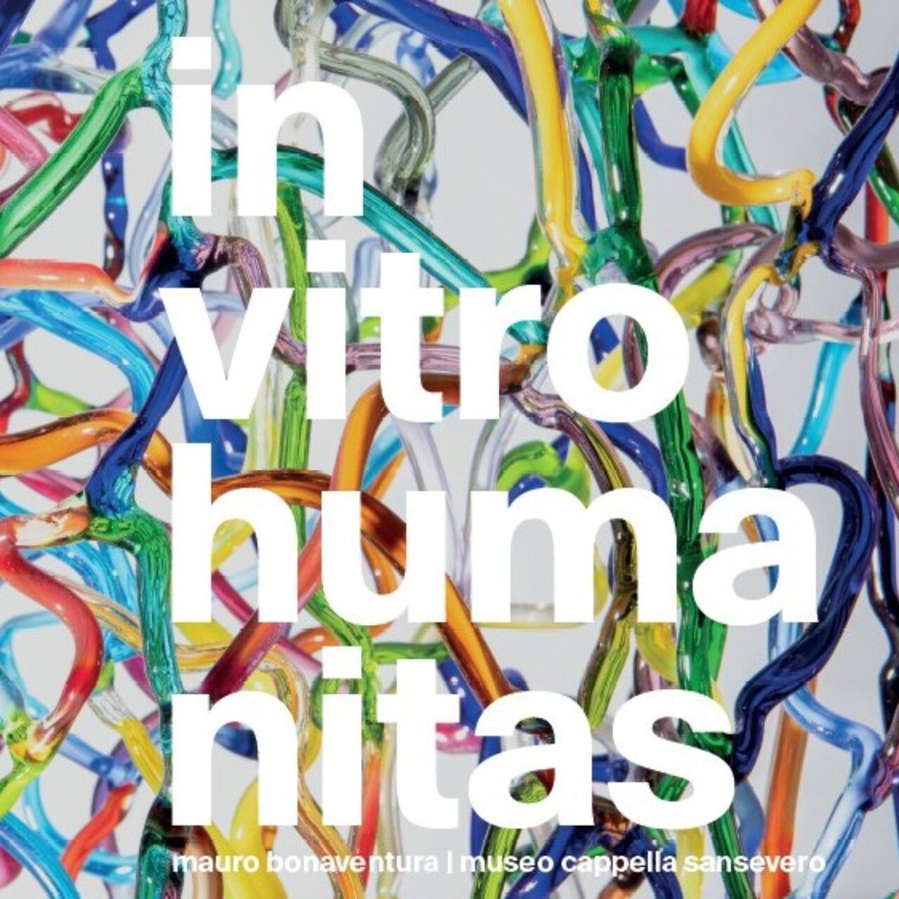 in vitro humanitas